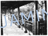 華明 華明