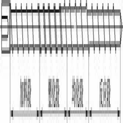 反應(yīng)擠出技術(shù)